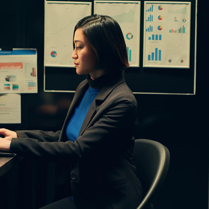 Perviewsis featured in The Wall Street Journal: Fighting Fraud While Boosting Revenue